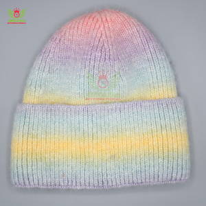 New Design Winter Beanie Unisex Cute Breathable Waterproof Acrylic Adjustable 3d Embroidery Adult Best Beanies Caps Custom Logo - Product Image 1