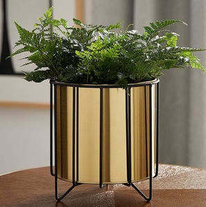 Support de plante en bois moderne avec 3 pots en ciment, plante succulente, plante décorative d'intérieur - Product Image 4