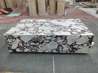 Mesa de Centro Rectangular de Mármol Calacatta Viola de Diseño Moderno y Lujo Natural para Sala de Estar