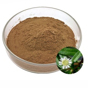 Poudre de feuilles de Bhringraj 100 % pure OEM/ODM – Poudre de soin capillaire à base de plantes Eclipta Prostrata de qualité supérieure pour le nettoyage du cuir chevelu et la nutrition des cheveux - Product Image 2