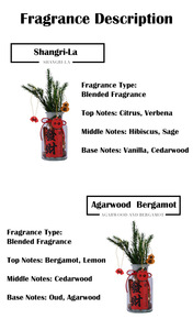 Forfait d'aromathérapie DIY pour une nouvelle année prospère - Product Image 4