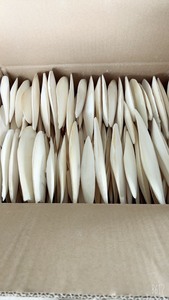 [MEJOR VENTA] |   Hueso de Sepia Crudo, Suplemento de Calcio para Aves y Tortugas de Blue Lotus Vietnam - Product Image 2