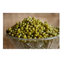 Haricots Mungo Biologiques Séchés en Vrac pour l'Exportation (Supermarchés & Services Alimentaires) – Prix Usine 50kg