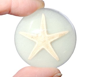 Cabochon rond en plastique avec spécimen réel d'étoile de mer, 35x35 mm, fond plat, luminescent, pour artisanat et fabrication de bijoux - Product Image 4