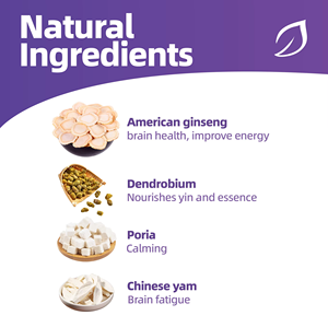 OEM ODM Listo para Enviar: Bolsitas de Té para el Bienestar Cognitivo – Mezcla Natural de Ginseng, Dendrobium y Poria, Favorece la Claridad Mental, 10 Bolsitas - Product Image 2