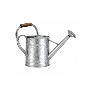 Steel Handicraft Watering Can with Wooden Handle Durable Eco-Friendly <b>5L</b> Capacity Powder Coated Garden Tool - Product Image 1