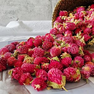 Flores secas de gomphrena globosa al mejor precio, flor de amaranto globo deshidratada de fábrica en Vietnam - Product Image 2