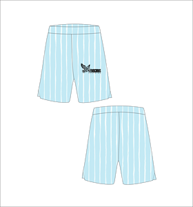 Pantalones cortos de baloncesto personalizados en azul y blanco, ropa deportiva de malla atlética - Product Image 1