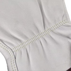 Guantes de Esquí de Invierno Modernos y Cálidos de Softshell y Cuero de Piel de Oveja PU para Mujer y Hombre, Ideales para Snowboard y Ciclismo, Hechos en Pakistán - Product Image 6