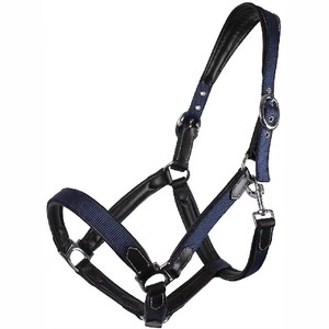 Premium Quality Horse <b>Head</b> Collar Classic English Design Comfortable for Daily <b>Training</b> and Outdoor Use Horse <b>Head</b> Collar - Product Image 6