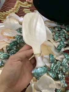 Juego de Cucharas de Concha Marina Hechas a Mano, Utensilios de Concha Natural Pulidos, Decoración Ecológica para el Hogar con Temática Natural - Product Image 4