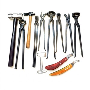 Nuevas herramientas para el cuidado de pezuñas de caballos, kit de herramientas para herradores, herramientas para el cuidado de pezuñas equinas, instrumentos ortopédicos para caballos de acero inoxidable alemán - Product Image 4