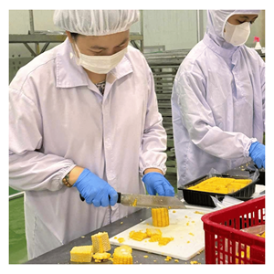 ข้าวโพดแช่แข็ง IQF ผลิตจากเมล็ดข้าวโพดหวานธรรมชาติ สำหรับสูตรอาหาร ซ่าลัด และครัวจัดเลี้ยง เวียดนาม - Product Image 5