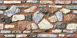 Carreaux muraux Premium Choice de qualité supérieure, carreaux d'élévation Asia Tiles 300x600mm pour articles de santé. - Product Image 2