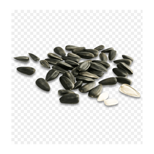 Graines de tournesol en gros / Graines de tournesol prêtes à l'exportation - Product Image 1