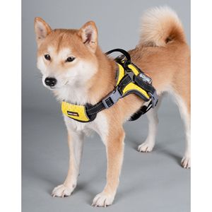 Arnés Deportivo de Alto Rendimiento Scorpion para Perros de Raza Libre, Arneses Premium para Mascotas - Product Image 2