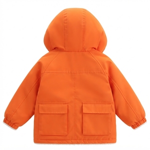 Ensemble de veste deux pièces brodée pour enfants, fermeture éclair intégrale, capuche, doublure en polaire écologique, vêtements de sport d'automne, tenue décontractée confortable pour garçons - Product Image 3