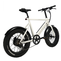 Vélo électrique MONO avec batterie amovible, pneus élargis et renforcés, design léger, longue autonomie, E-Bik OEM/ODM disponible