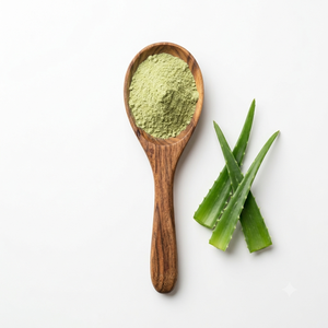 Polvo de Hoja de Aloe Vera Premium, Aloe barbadensis Miller, Polvo Herbal, Fabricante, Proveedor, Exportador, Venta al Por Mayor a Granel, India - Product Image 1