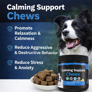 Friandises calmantes pour chiens et chats, approuvées par les vétérinaires, à l'huile de graines de chanvre naturelle, pour soulager l'anxiété, le stress du voyage et la séparation, marque privée OEM - Product Image 5