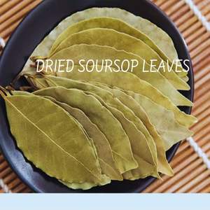 Feuilles de corossol séchées infusées de la puissance GUANABANA et GRAVIOLA certifiées biologiques et naturelles - Product Image 3