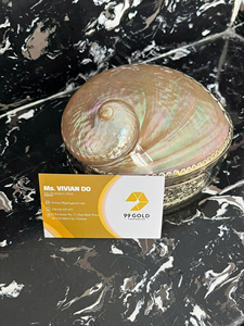 <b>Abalone</b> <b>Shell</b> Jewelry Organizer Luxury Mother Of Pearl Jewelry Organizer for Ring Necklace Storage Elegant Metal Craft Vietnam - Product Image 6