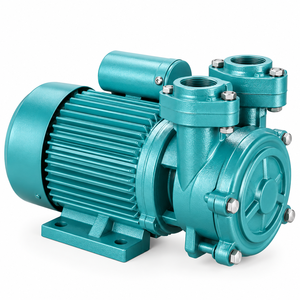 Bombas de Agua Periféricas del Fabricante, de Alta/Baja Presión, Autocebantes, para Aplicaciones de Agua Limpia, Eléctricas - Product Image 6