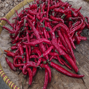 Chiles Rojos Enteros de la India para Compradores Mayoristas Globales con un Auténtico Sabor Picante, Apariencia Roja Intensa y Versátiles - Product Image 1
