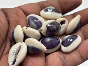 Conchas de Cauri Naturales Talladas con un Tono Púrpura, Material Orgánico Ecológico, Suministros de Arte, Joyería, Manualidades, Accesorios de Moda - Product Image 3