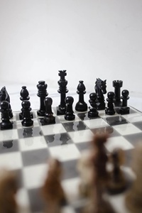 ILAHI's Eco-Friendly Rustic Polished Rectangle <b>Chess</b> <b>Board</b> Game 100% Handmade Pure Wood Animal/Love Style Customized Size <b>Chess</b> - Product Image 2