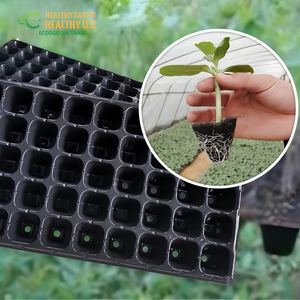 Eco2go Vietnam Discos de Fibra de Coco Natural, Pastillas de Turba Comprimidas Redondas para Germinación de Semillas - Product Image 5