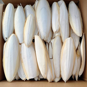 Hueso de Sepia Seco a Granel, Fuente de Calcio Natural para Aves, Alimento para Mascotas, Proveedor de Vietnam - Product Image 1