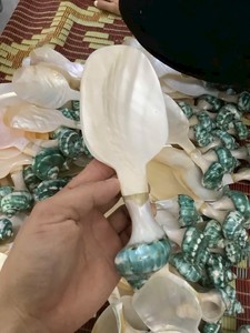 ช้อนเปลือกหอยทำมือรูปทรงธรรมชาติเปลือกหอยขัดเงางานฝีมือตกแต่งบ้านทนทาน - Product Image 3