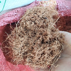 Fibra de Coco de Vietnam a Granel, Fibra de Cáscara Marrón para Construcción y Material Industrial - Sra. Tarina - Product Image 6