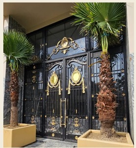 Puerta de Hierro Forjado de Lujo con Paneles de Vidrio, Puerta de Entrada Principal Decorativa, Diseño Moderno, Puerta Metálica Personalizada, Suministro al por Mayor - Product Image 1
