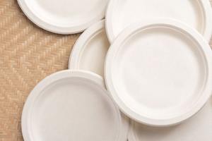 LKS Enterprises 2025, Platos Desechables Resistentes de Material de Bagazo, Ecológicos y Biodegradables, Fabricados en India - Product Image 2