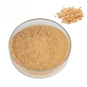 Extrait de malt d'orge pur OEM 10:1 en poudre, riche en caractéristiques naturelles du malt, pour compléments alimentaires, poudre de malt d'orge de qualité supérieure - Product Image 1
