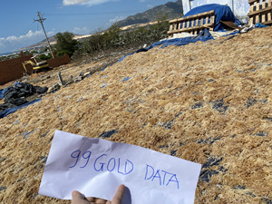 All'ingrosso essiccato muschio di mare dal Vietnam, Eucheuma biologico prezzo competitivo per la lavorazione dei prodotti alimentari. - Product Image 6