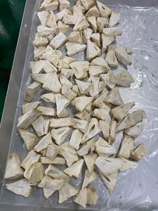 Piña Liofilizada a Precio de Fábrica - Product Image 6