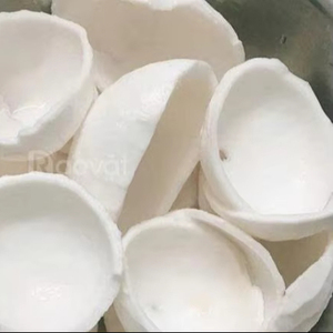 Fabricant vietnamien de viande de noix de coco surgelée IQF pour l'alimentation, viande de noix de coco naturelle en vrac, vente en gros, exportation d'usine - Product Image 1