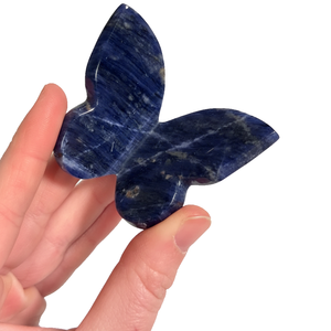 Mariposa de cristal de alta calidad, alas de sodalita azul, piedra curativa, mariposa tallada en 3D y decoración para el hogar, mayorista - Product Image 5