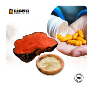 Antrodia Camphorata Powder – Liver <b>Detox</b> <b>Supplement</b> GMP Certified Food Grade Nutraceutical Malaysia OEM ODM - Product Image 1