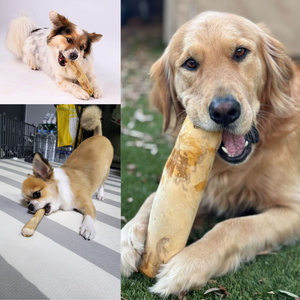 Premium Coffee Wood Dog Chew Stick Bite Resistant Natural Pet Chew for Teeth Cleaning - Product Image 6