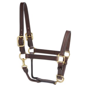 2026 Indian Leather Horse Polo <b>Halter</b> with Braided Design Durable Emboss Logo Customizable Size & Color Wholesale Cheap Price - Product Image 2