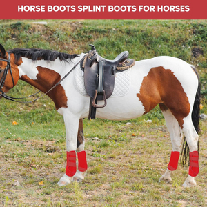 Bottes anti-mouches respirantes personnalisées à faible MOQ pour chevaux, protection intégrale des jambes, nouveau design 2026, service OEM, couleurs confortables, logo et marque personnalisés - Product Image 5