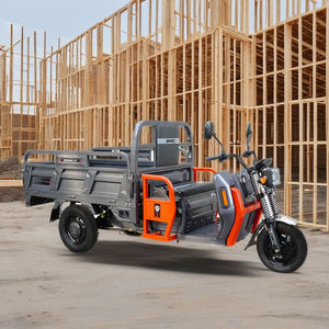 <span class=keywords><strong>Tricycle</strong></span> électrique de fret à carrosserie ouverte puissant certifié EEC CE 2026, 3000W, 50-70 km/h, capacité de charge utile de 800-1000 kg, 3PLUSCOCO - Product Image 1