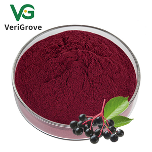 Hoogwaardig Vlierbessenextract 25% Vlierbessenflavonoïden - Product Image 1