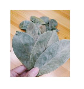 Factory Wholesale Customized Natural Spices Dried Suorsop Leaves From VietNam With Dried Soursop Leaf - Product Image 1