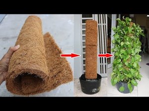 [สินค้าขายดี] เสาค้ำต้นไม้ใยมะพร้าวแบบเป็นมิตรต่อสิ่งแวดล้อมจากบลูโลตัสฟาร์ม สำหรับพืชเลื้อยในร่ม สวนเกษตร เบนเต้ - Product Image 3