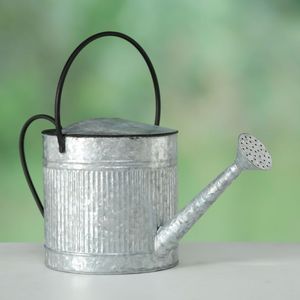 Arrosoir en acier durable pour l'arrosage des plantes, utilisation intérieure et extérieure, avec long bec, poignée ergonomique et finition résistante - Product Image 2